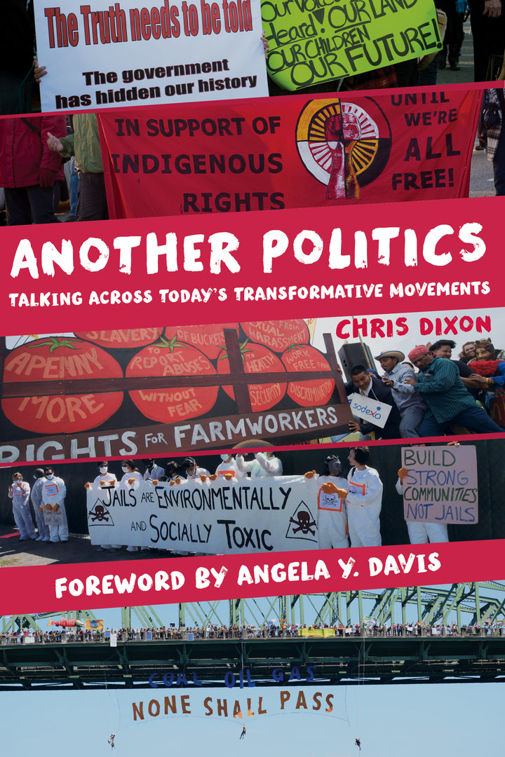 Cover image for Another Politics ISBN 9780520279025